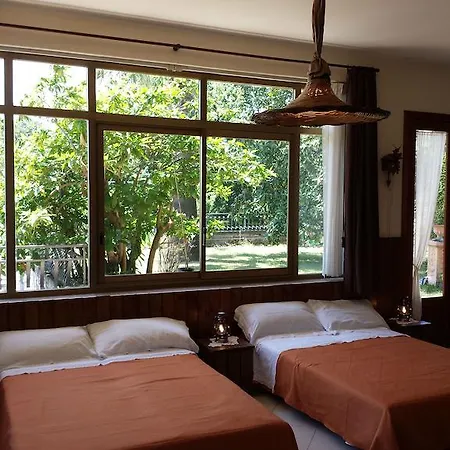 Etna Sweet Holiday home Santa Venerina